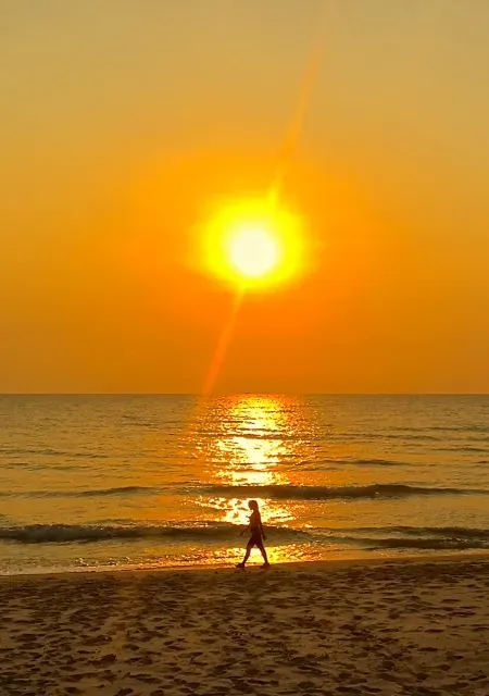 Thailand tropical beach sunset with palm trees