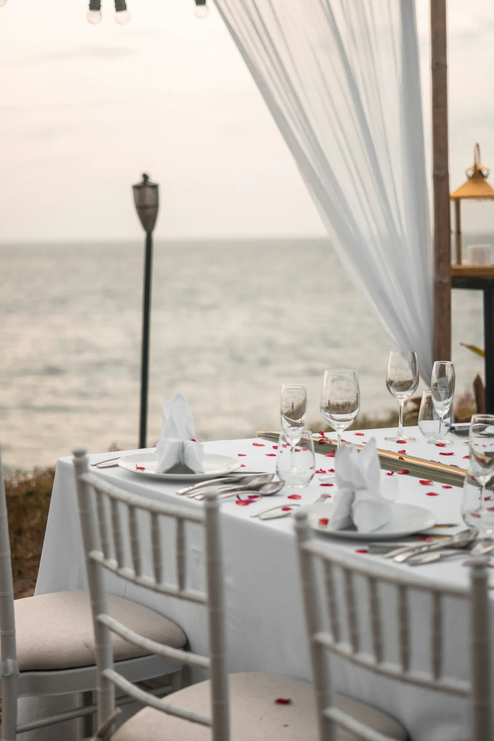Honeymoon couple in a tropical setting