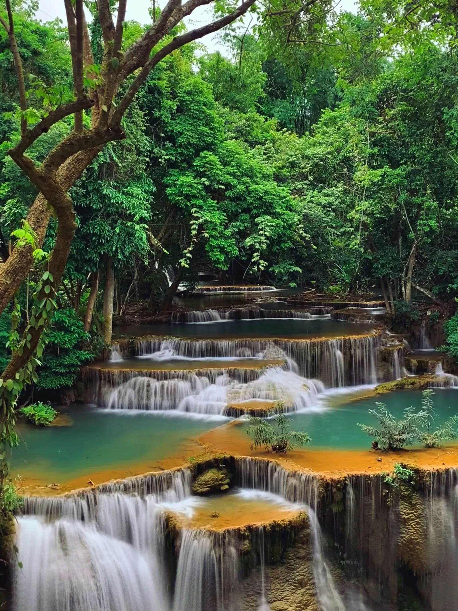 Wellness retreat moment in Thailand
